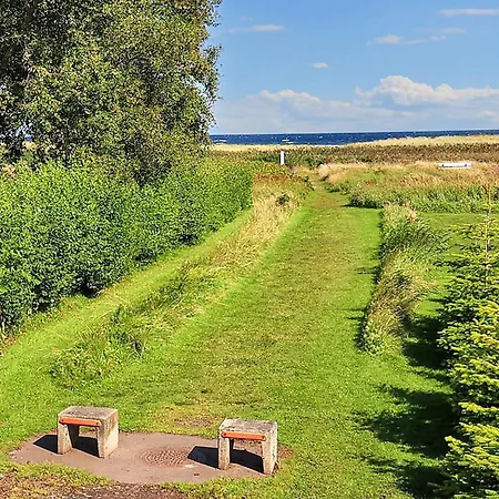 Semesterbostad 4 Star Holiday Home In Hals Hals